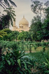 Agra;-Architecture;-Dome;-Garden;-Greenery;-India;-Kaleidos;-Kaleidos-images;-La-parole-à-limage;-Mausoleum;-Mughal;-Mumtaz-Mahal;-Palm-fronds;-Shah-Jahan;-Stories-Pictures;-Taj-Mahal;-Tarek-Charara;-UNESCO;-Uttar-Pradesh;-Vegetation;-Vertical;-World-Heritage
